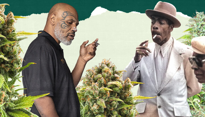 What Even Is a High-Functioning Stoner? "Een foto van Mike Tyson en een andere persoon die in een weelderig cannabisveld staan, omringd door hoge groene planten, wat de verbinding met cannabisteelt benadrukt. "