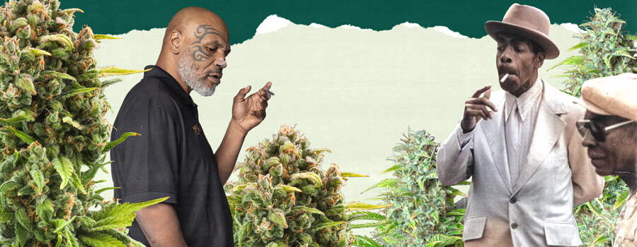 What Even Is a High-Functioning Stoner? "Een foto van Mike Tyson en een andere persoon die in een weelderig cannabisveld staan, omringd door hoge groene planten, wat de verbinding met cannabisteelt benadrukt. "