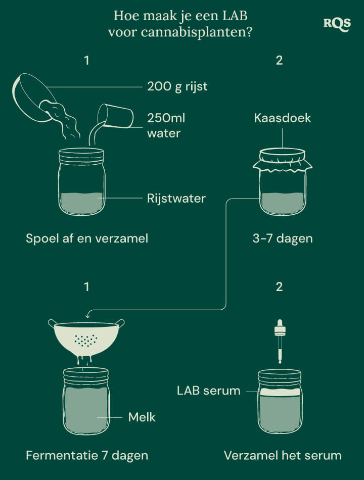 How to make LAB for weed plants How to make LAB for weed plants