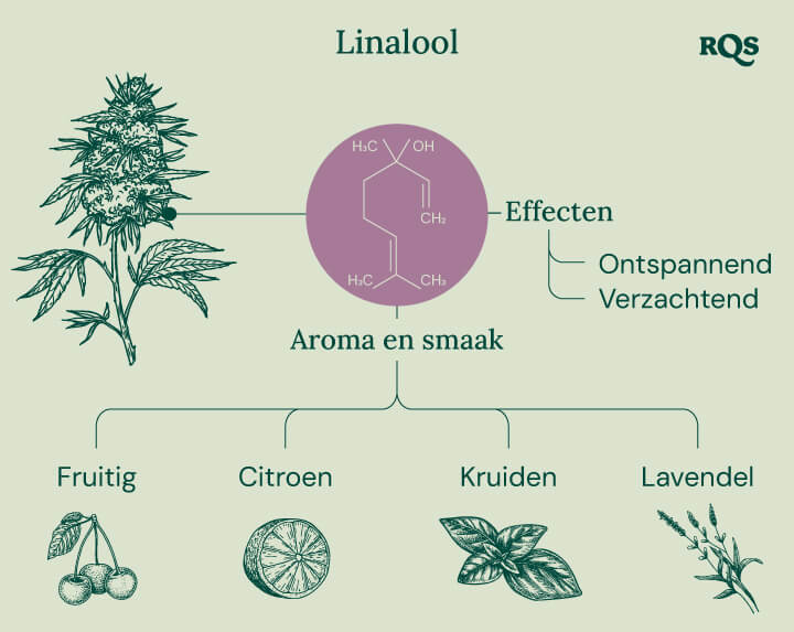 Linalool Characteristics Linalool Characteristics