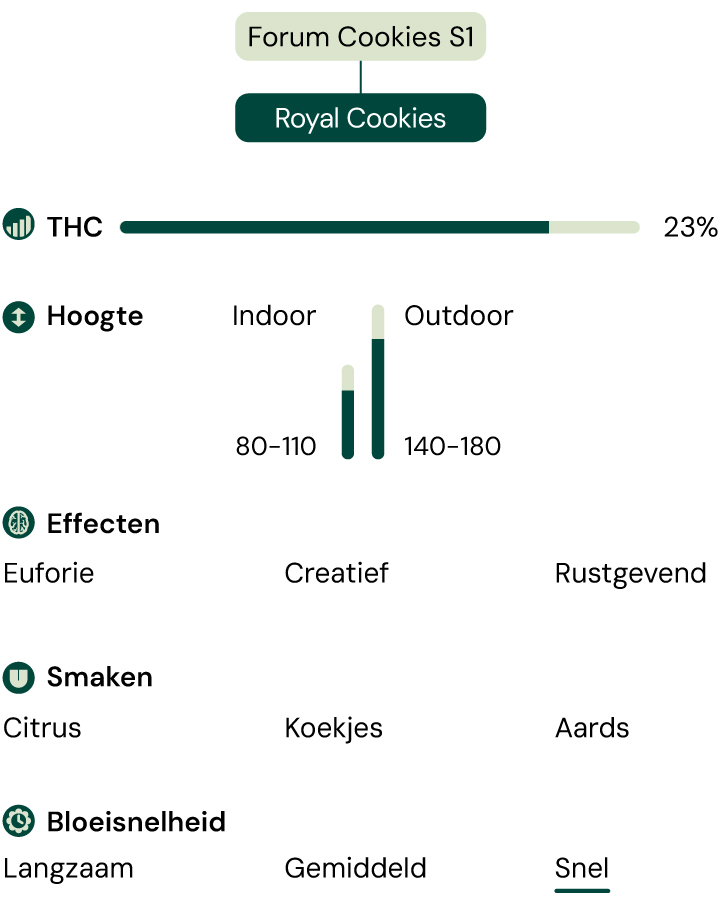 Royal Cookies Strain Characteristics Royal Cookies Strain Characteristics